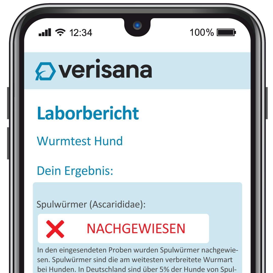 verisana-wurmtest-hund-pro-stuhl-selbsttest-f-r-hunde image 2