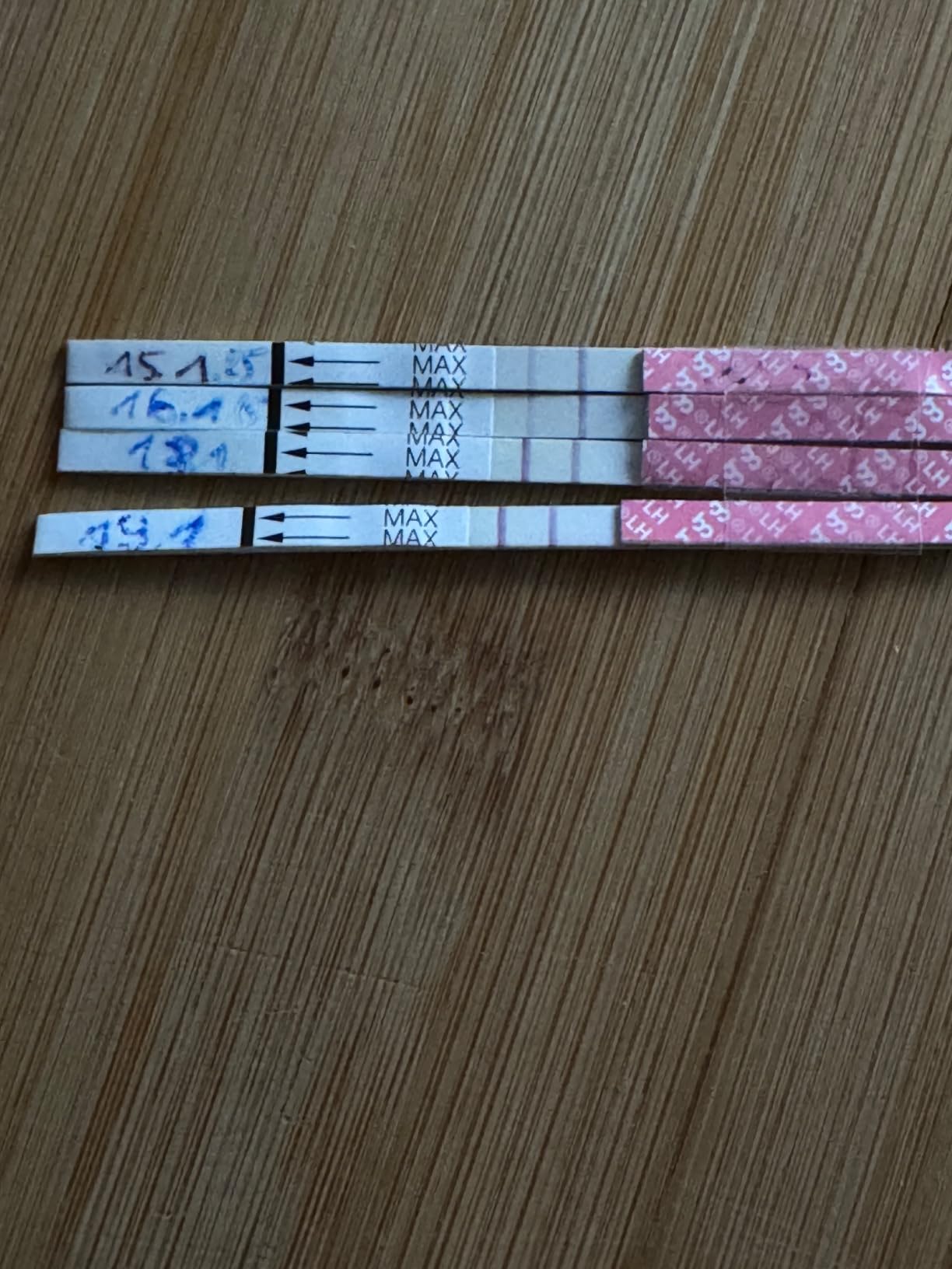 Gute Tests für den Start