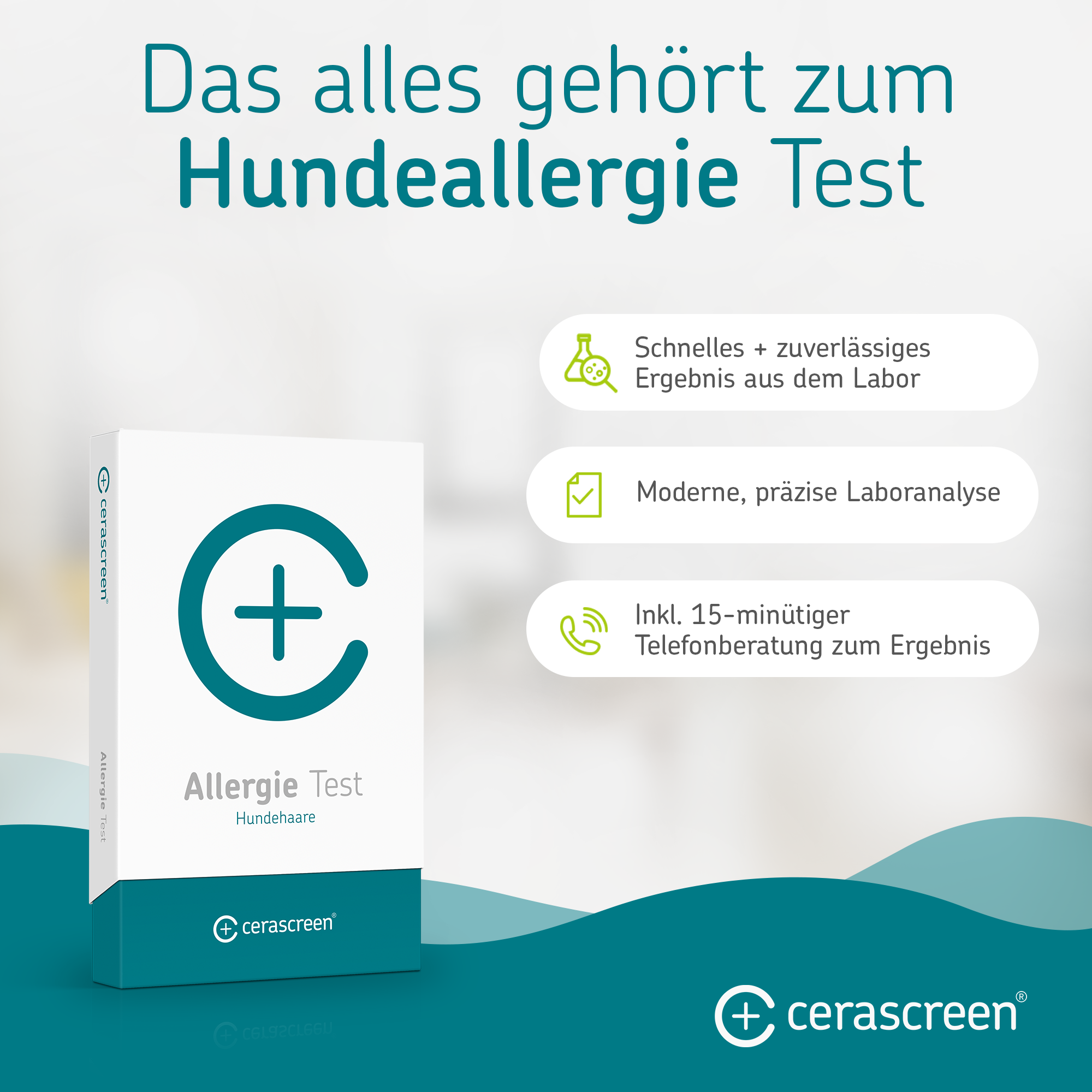 cerascreen-hundeallergie-test-blut-selbsttest-f-r-zuhause image 5