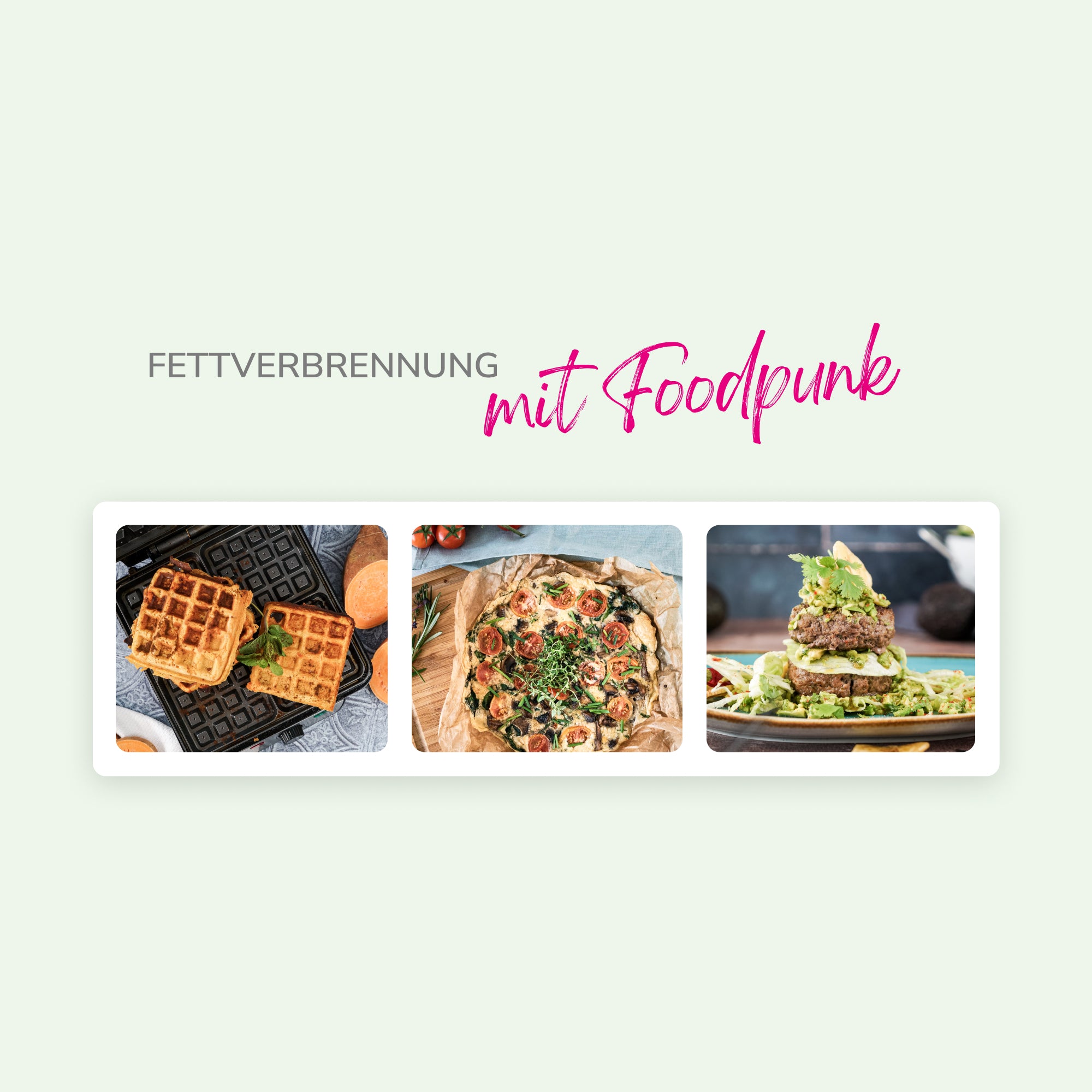 cerascreen-individueller-ern-hrungsplan-mit-coaching image 4