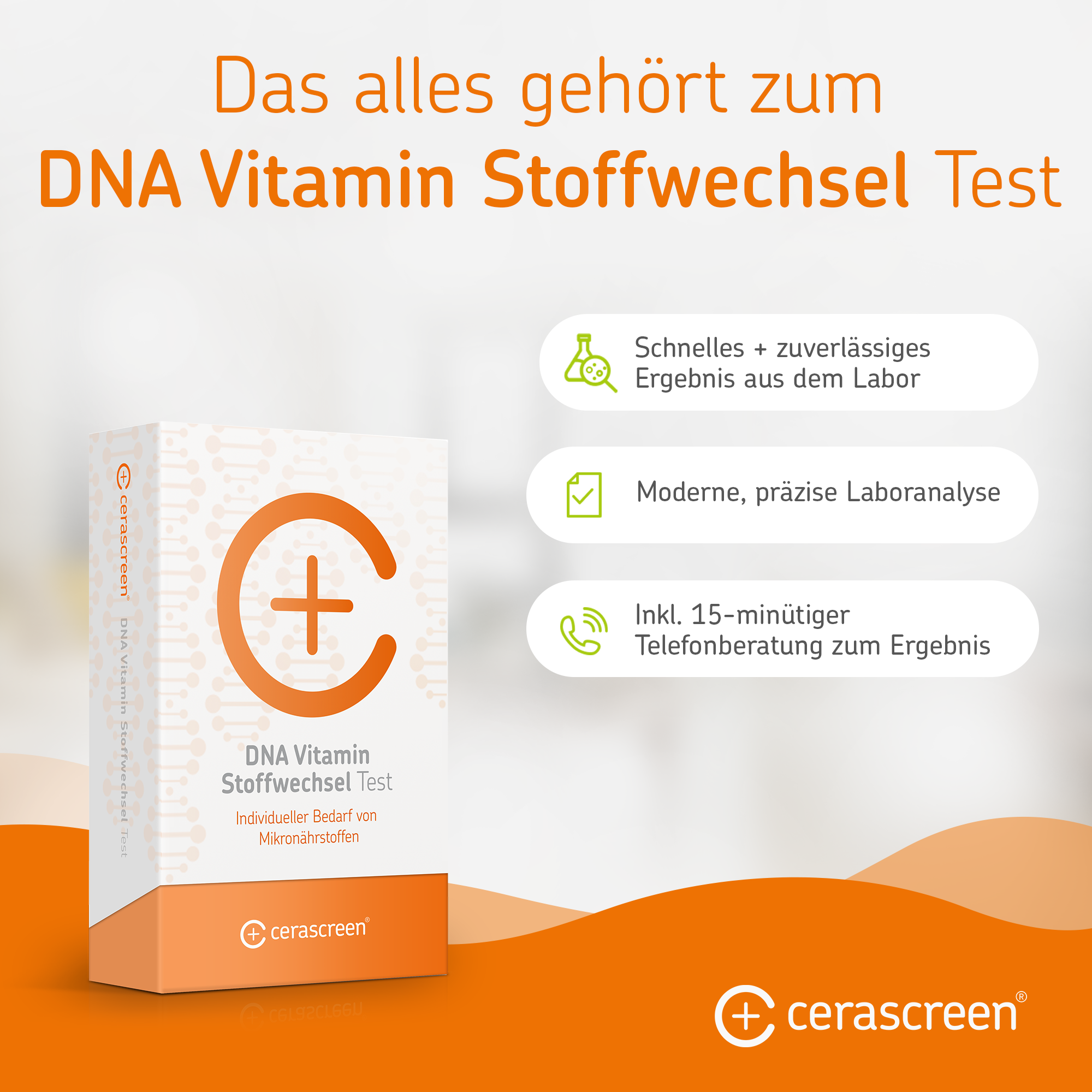 cerascreen-dna-vitamin-stoffwechsel-test-speichel-selbsttest-26-gene image 5