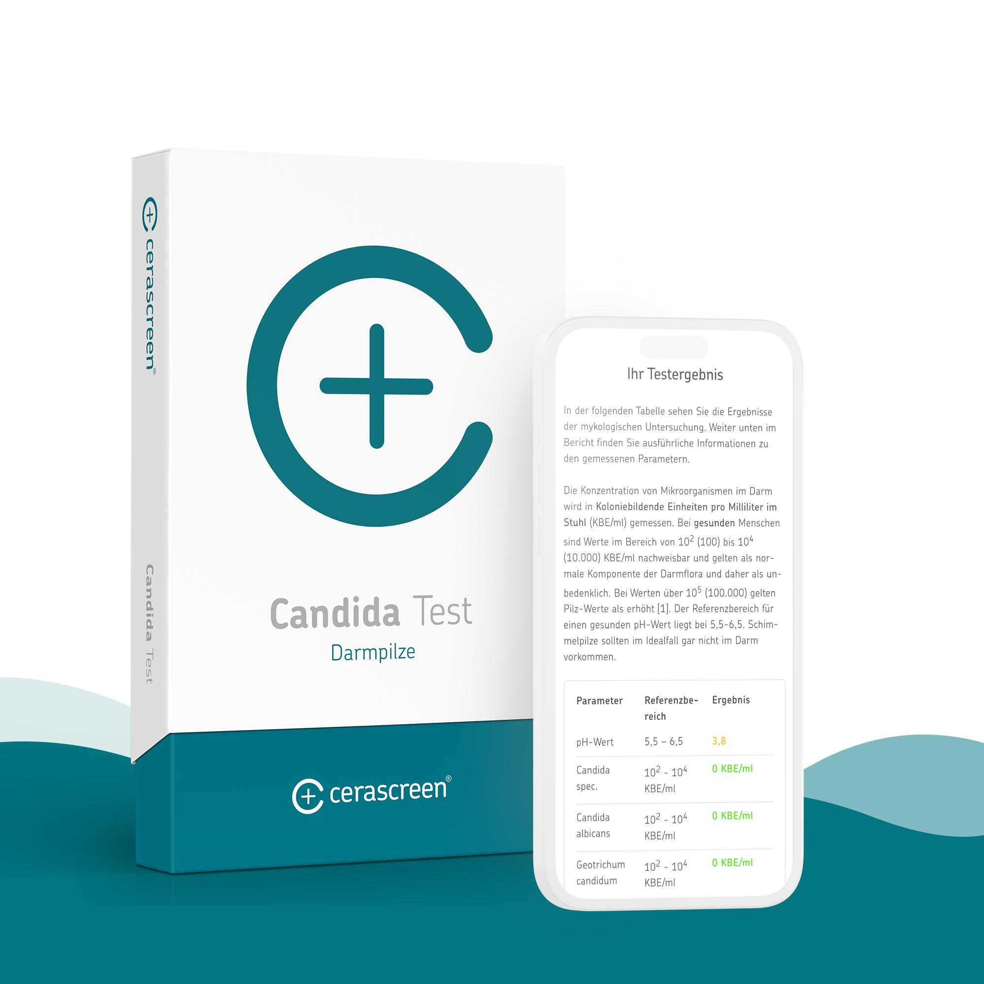 cerascreen-candida-test-selbsttest-darmpilz-f-r-zuhause image 3