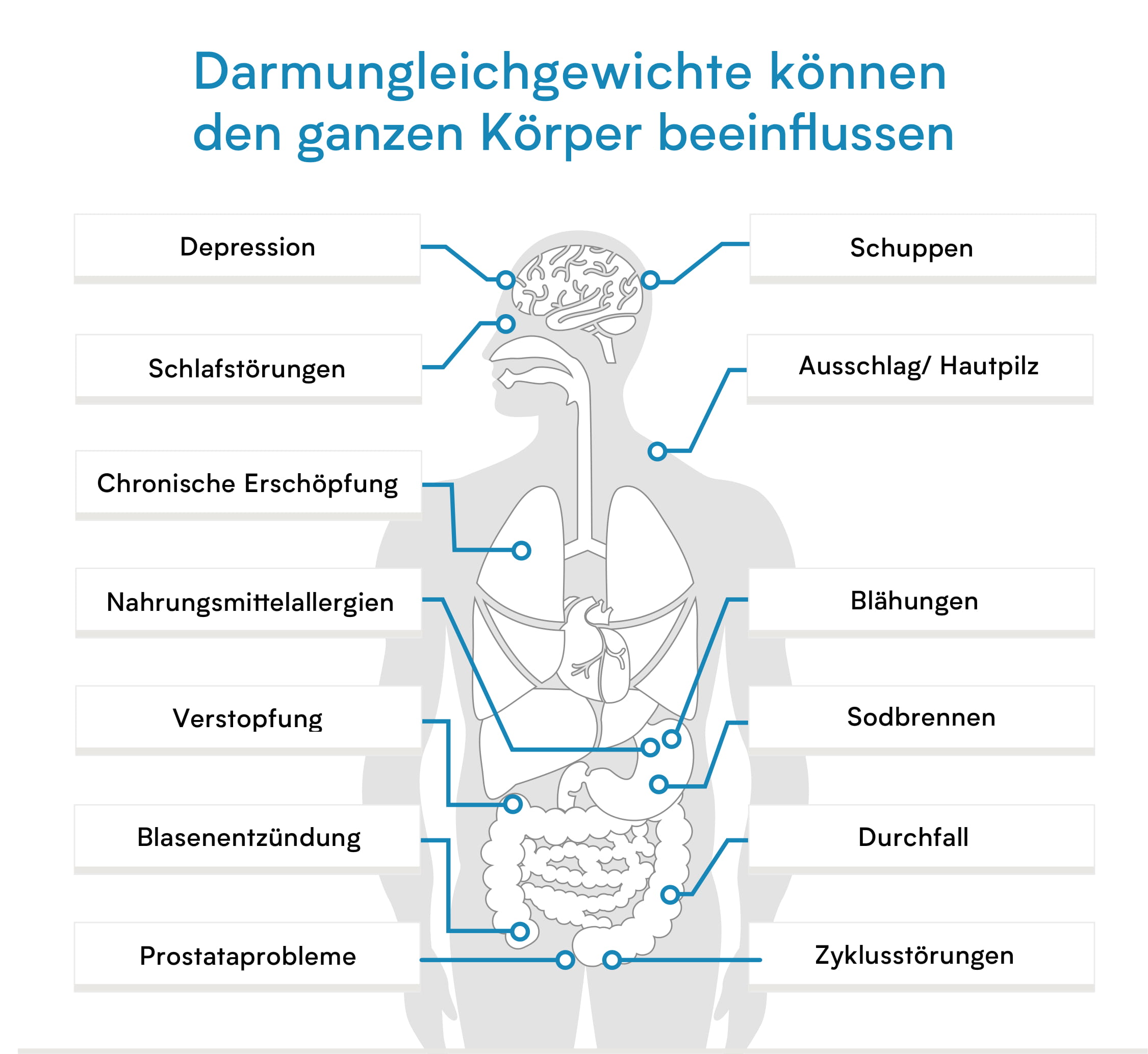 verisana-madenwurm-oxyuren-test-abklatschtest-f-r-zu-hause image 2