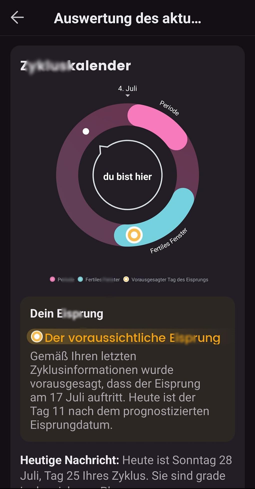 Solide für den Einstieg
