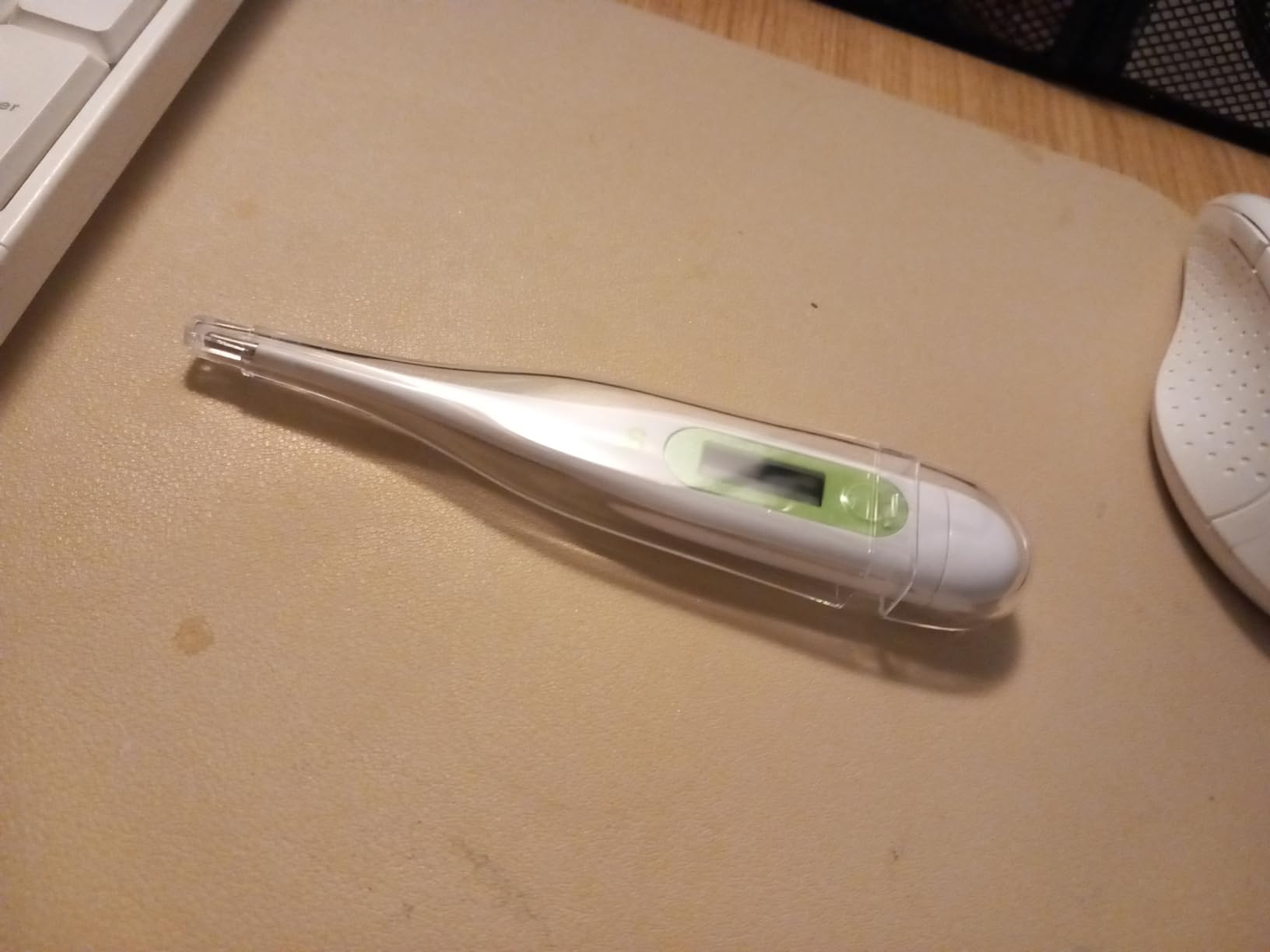 Gutes Alltags-Thermometer